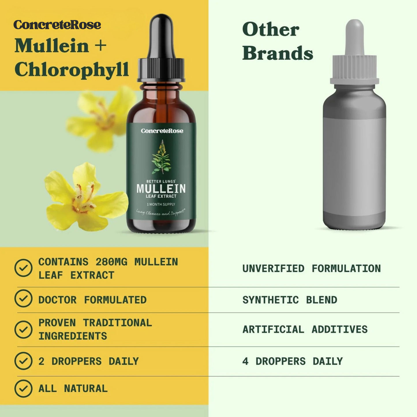 Mullein Leaf Extract